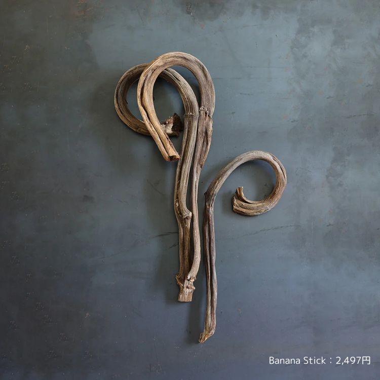 ドライフラワー　カスト