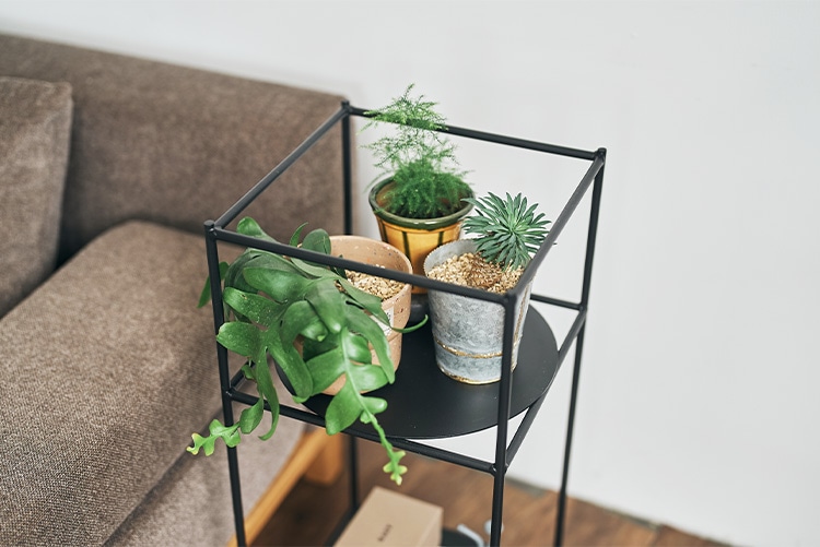 SIEVE アンテナ プランツ ラック S