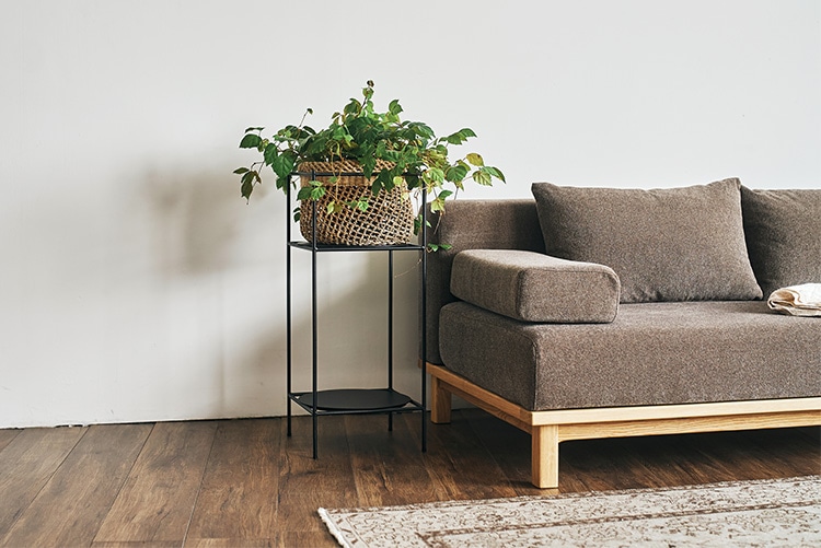 SIEVE アンテナ プランツ ラック S