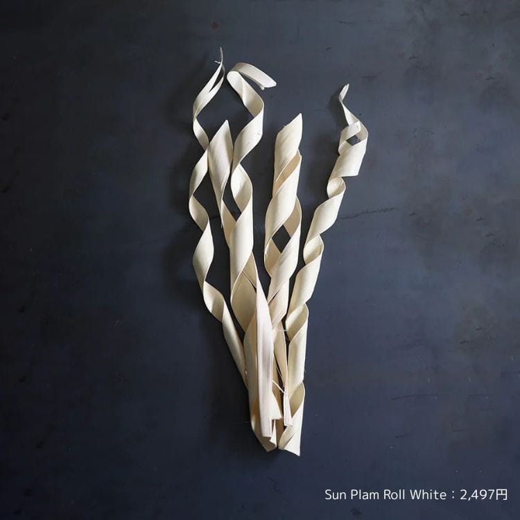 ドライフラワー　カスト