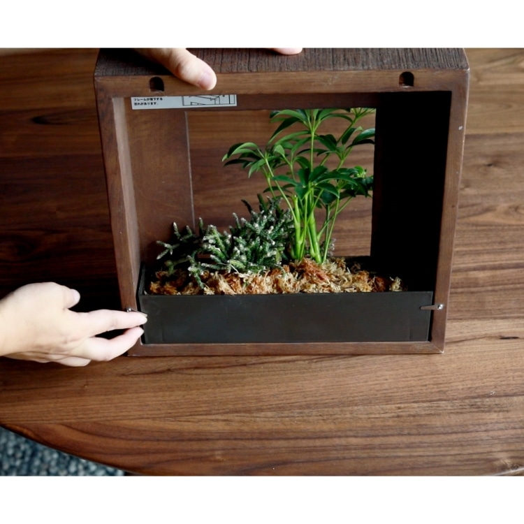 マイギャラリー S （フェイクグリーン）