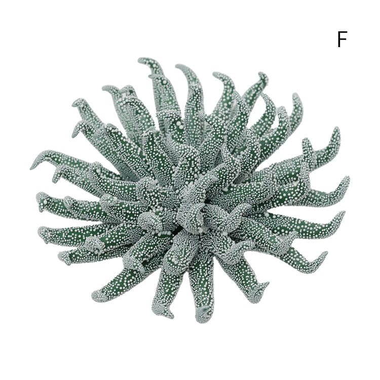 セラミックフラワー　アビサル