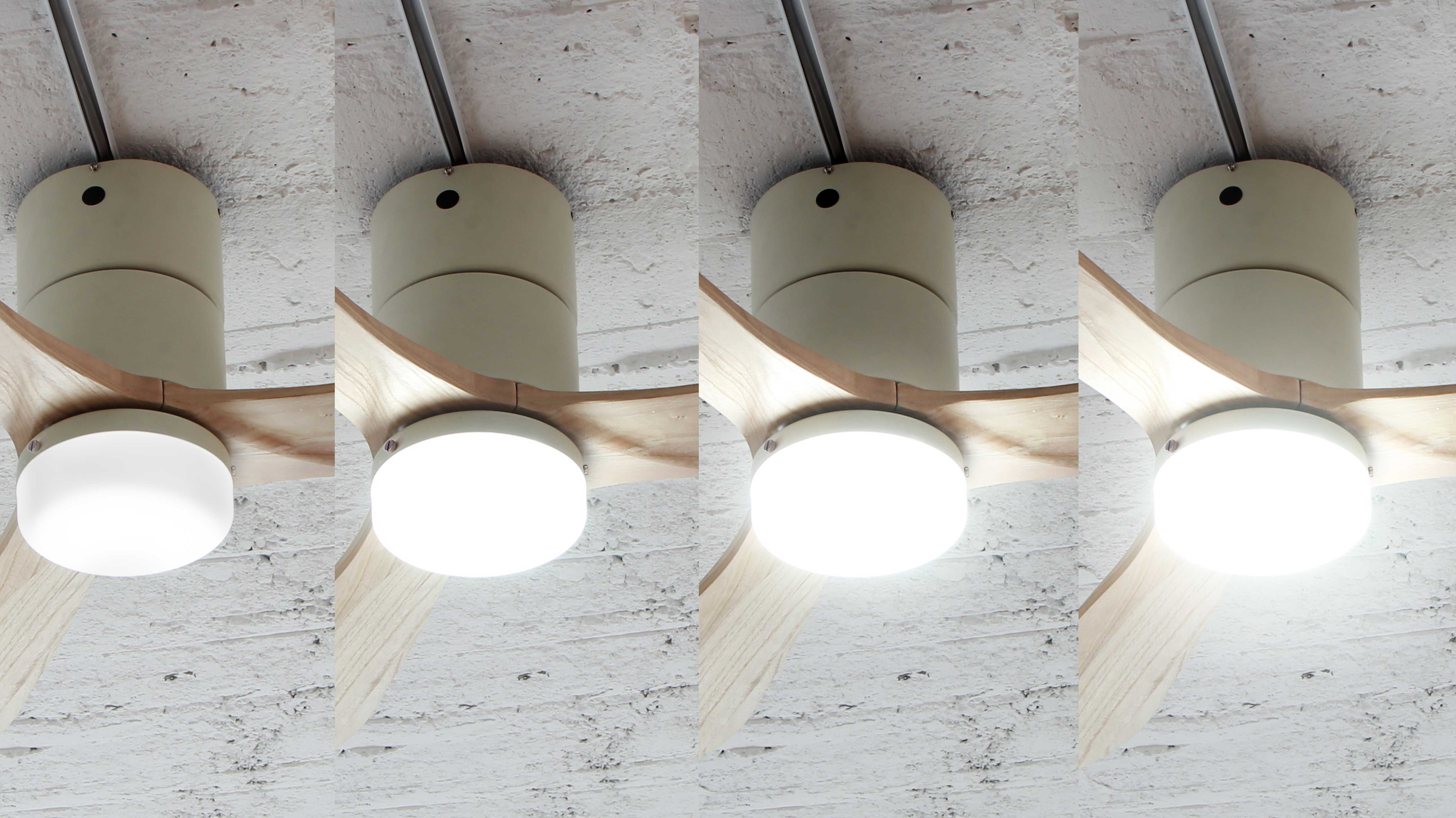 MODERN LED シーリングファン real wood(昼白色)