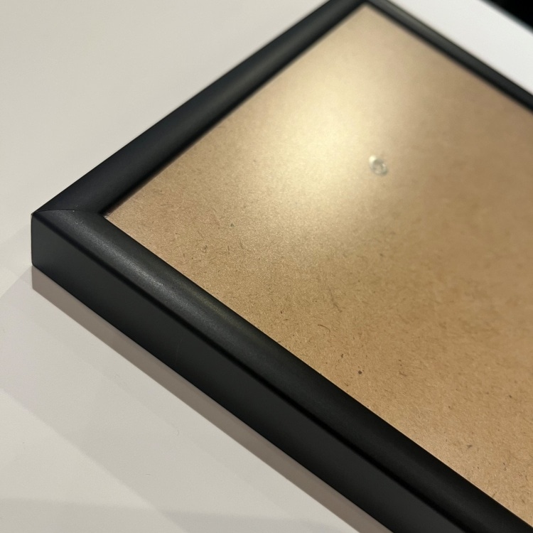 【ViSSEVASSE】インテリアポスター Plant Lover