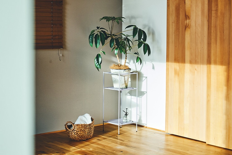 SIEVE アンテナ プランツ ラック S