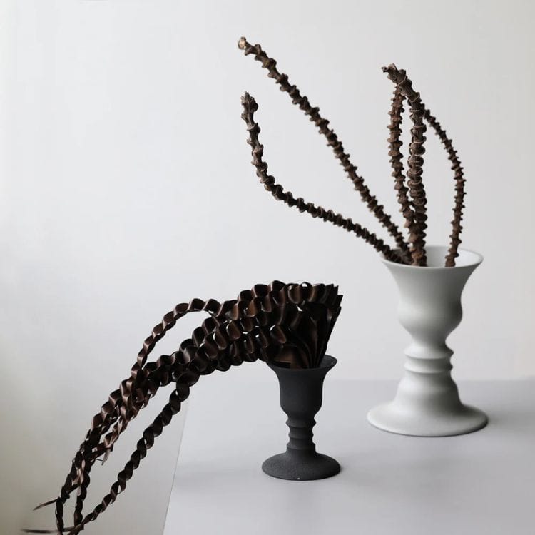 ドライフラワー　カスト