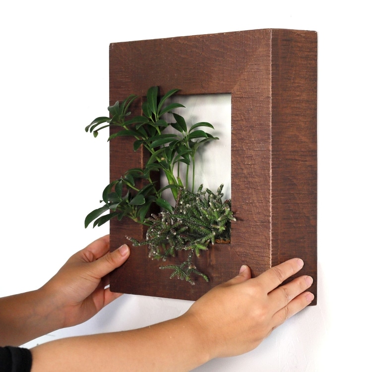 マイギャラリー S （フェイクグリーン）