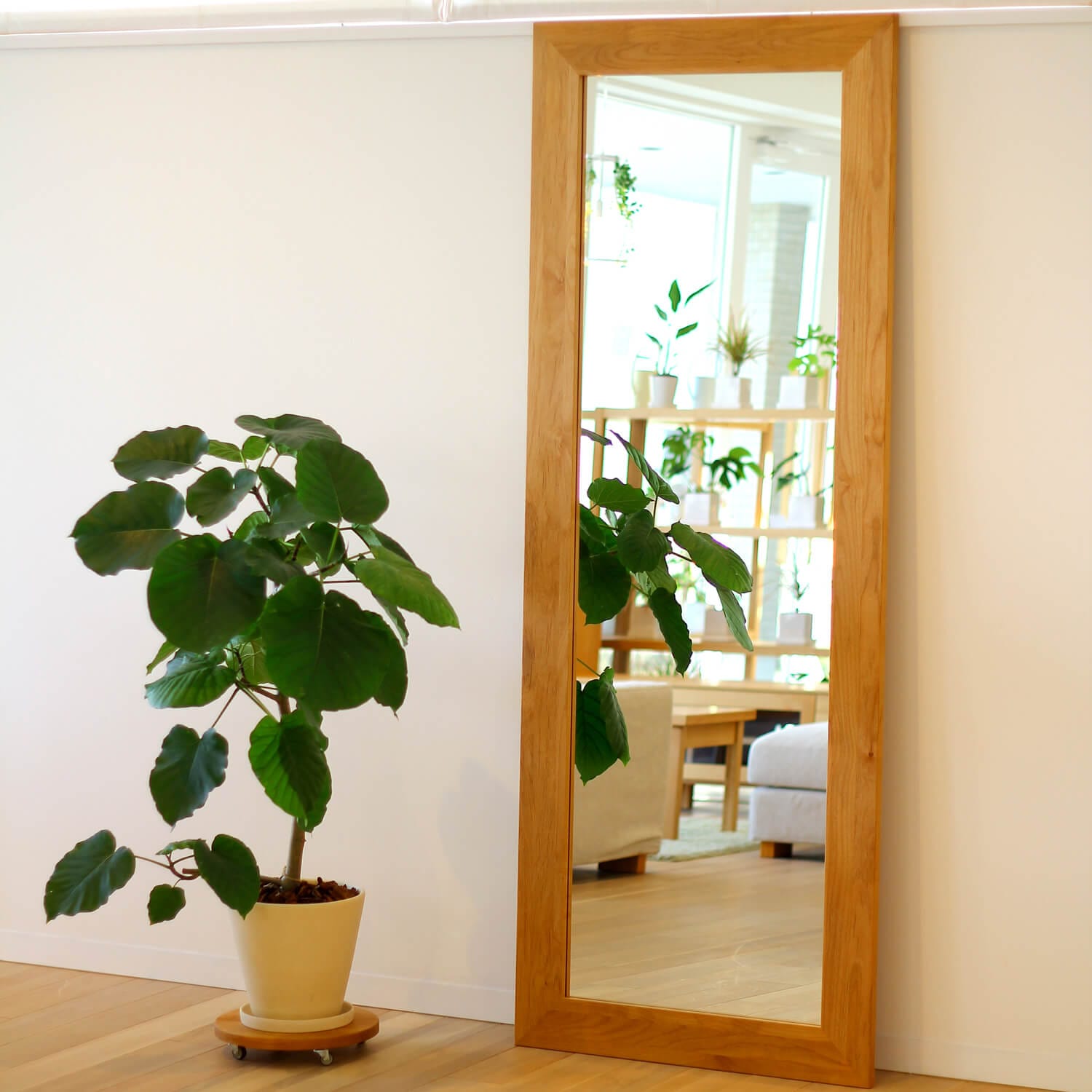 プレーン ミラー