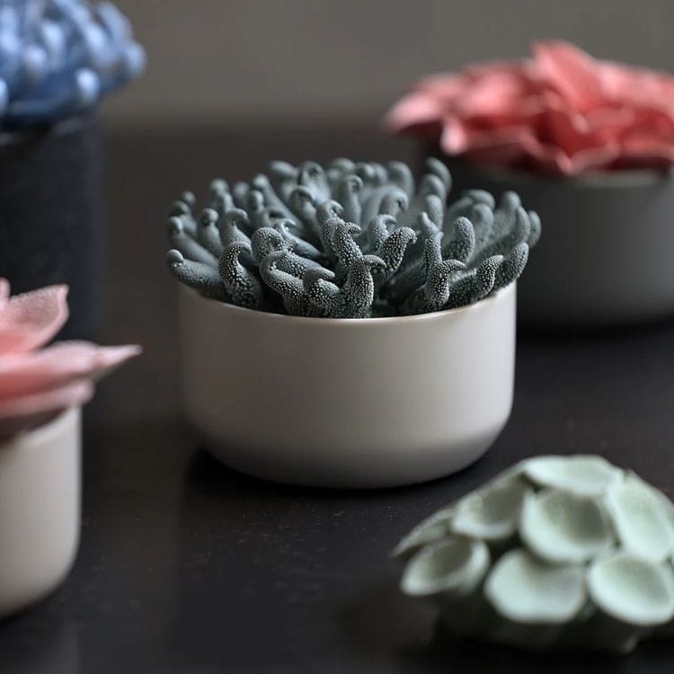 セラミックフラワー　アビサル