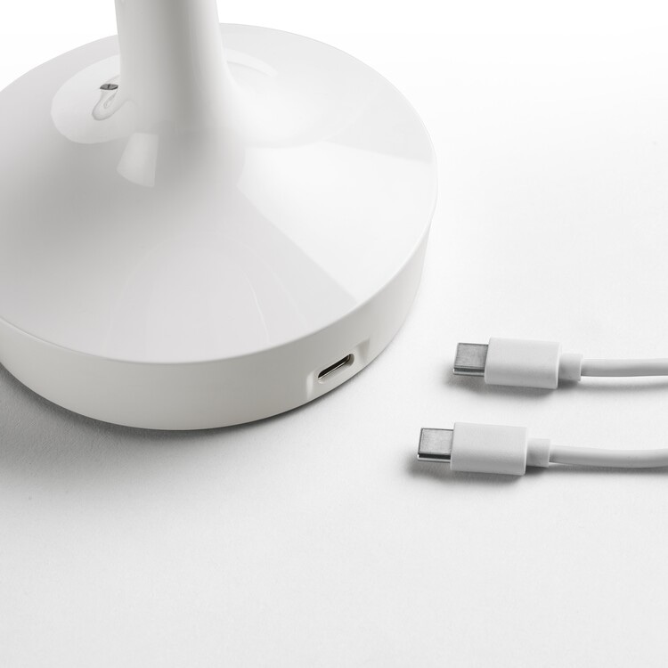 ボンジュール アンプラグド