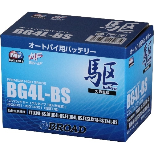 [取寄10]BG4L-BS BG4L-BS 青(ブルー) [4536638900734]