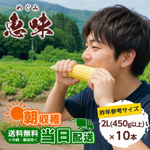 [冷蔵][予約直送]長野県 信濃町産とうもろこし 恵味(めぐみ) 2L×10本 【綿半お中元】【8月より順次発送】【配送指定日不可】