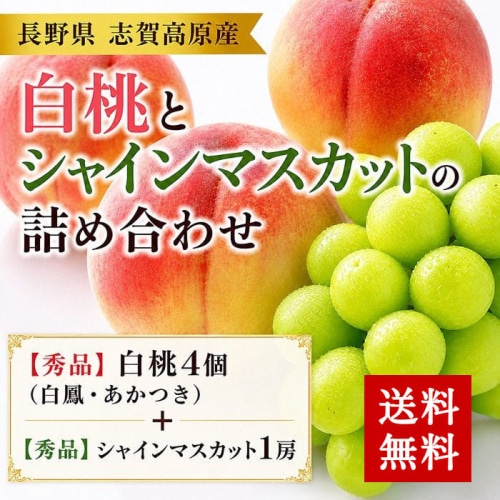 [予約直送]長野県産 もも4玉・シャインマスカット1房 詰め合わせセット 【綿半お中元】【7月後半～8月中旬順次発送】【配送指定日不可】