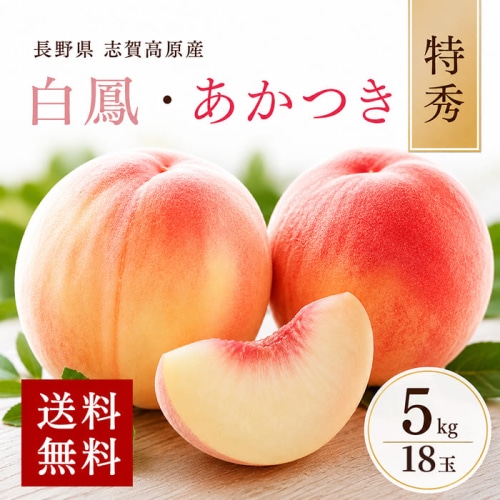 [予約直送]長野県 志賀高原産 もも 特秀 18玉 約5kg 送料無料 【綿半お中元】【7月後半～8月中旬順次発送】【配送指定日不可】