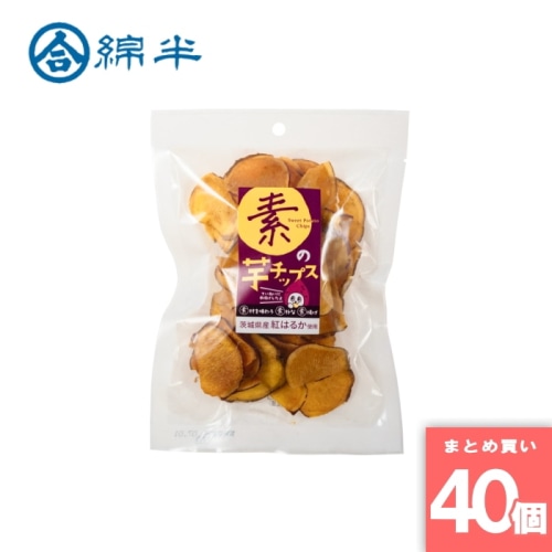 [取寄10][まとめ買い]【40個セット】素の芋チップス 60g [4589458496161]
