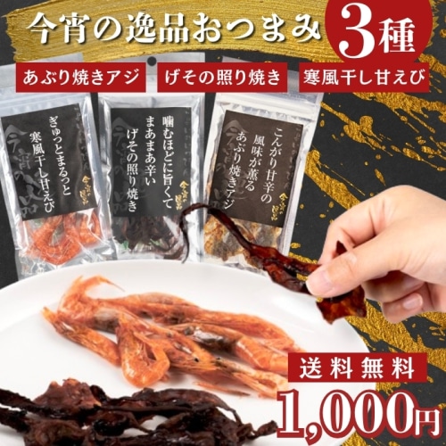 1000円ポッキリ 送料無料 今宵の逸品おつまみ3種各1個セット(あぶり焼きアジ、げその照り焼き、寒風干し甘えび)