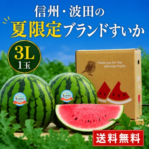 [予約直送]長野県産 波田すいか 羅皇 ザ・スウィート 3L 1玉 【綿半お中元】【7月後半～8月中旬順次発送】【配送指定日不可】