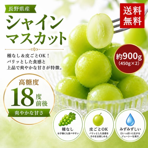 [予約直送]長野県産 シャインマスカット ぶどう 2房 約900g(450g×2) 【綿半お中元】【7月後半～8月中旬順次発送】【配送指定日不可】