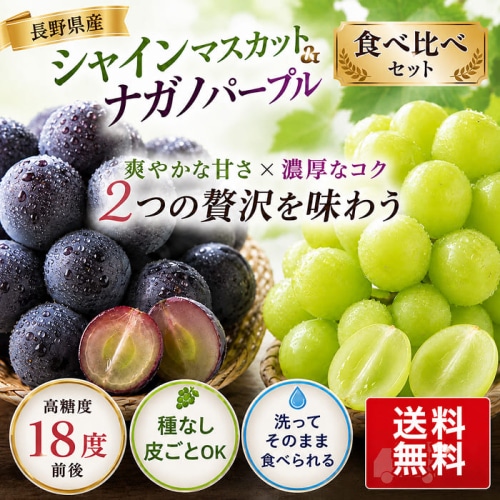 [予約直送]長野県 シャインマスカット・長野パープル ミックス 各１房 詰め合わせ 【綿半お中元】【7月後半～8月中旬順次発送】【配送指定日不可】