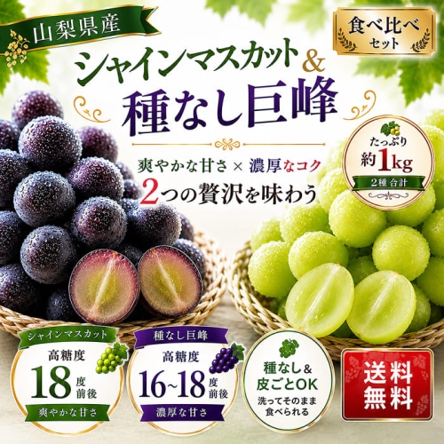 [予約直送]山梨県産 シャインマスカット・種無し巨峰ぶどう 各1房 約1kg 【綿半お中元】【7月後半～8月中旬順次発送】【配送指定日不可】