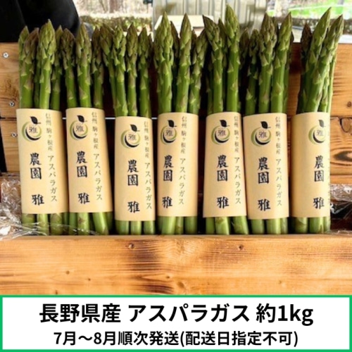 [予約直送]長野県産 アスパラガス 約1kg 【綿半お中元】【7月～8月頃順次発送】【配送指定日不可】