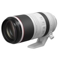 RF100-500mm F4.5-7.1 L IS USM RF100-500LIS