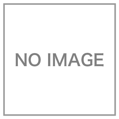 CANYON-WMLTD-BLSC型 M シルバー