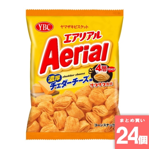 [取寄10][まとめ買い]【24個セット】エアリアル濃厚チェダーチーズ味 65g [4903015560520]