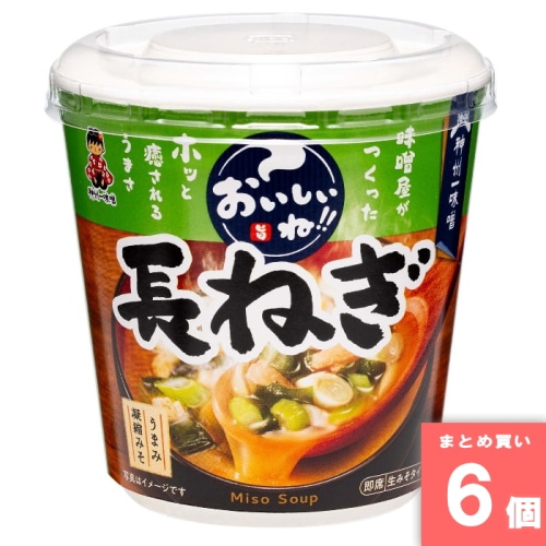 [取寄10][まとめ買い]【6個セット】おいしいね！長ねぎ 1食 [4902703032936]