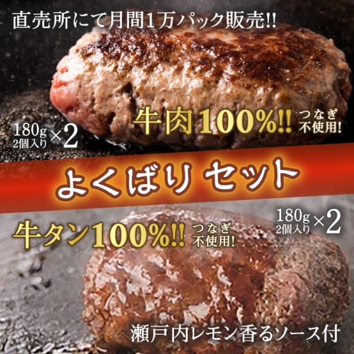 [冷凍][取寄5]牛肉100％ハンバーグセット (ジューシーくん2個入×2パック・牛タンハンバーグ2個入×2パック) 【賞味期限切迫品】