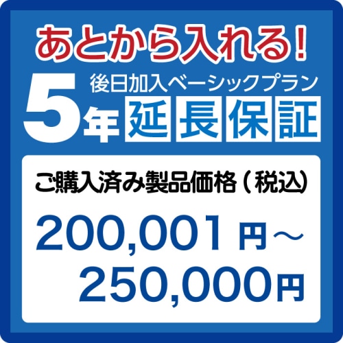 延長保証5年(後日加入)　ご購入済み製品価格(税込)200001円－250000円 AE200001