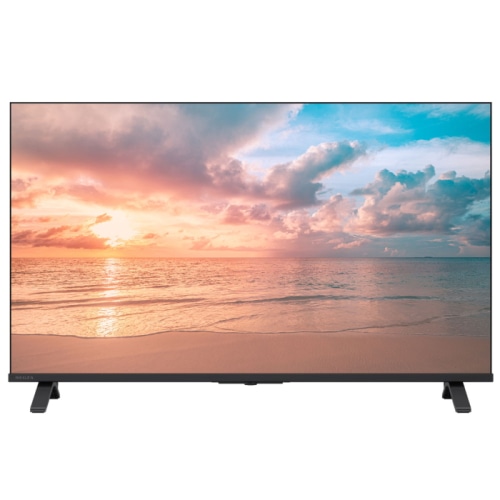 [箱難ありB]REGZA 55E350R [55インチ]