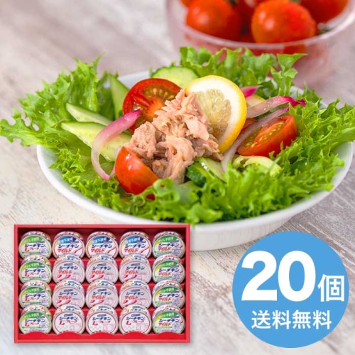 はごろもフーズ シーチキン ギフト [直送商品](1238-046)