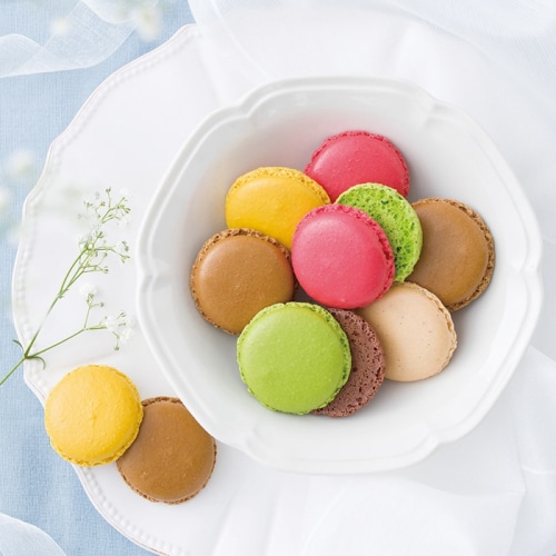 ダロワイヨ マカロンラスク (18枚入) [直送商品](4173-013)