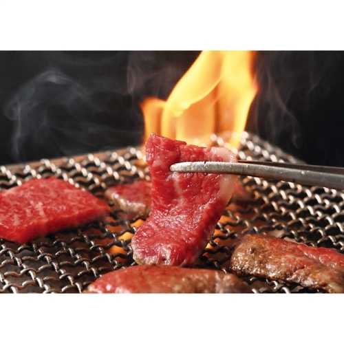 萬野和牛 焼肉用 ロースモモ (約600g) [冷凍][直送商品](4279-017)