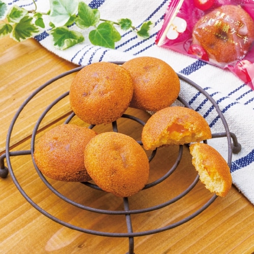 中島大祥堂 ひととえ 果実たっぷり ふじ林檎 ケーキ [直送商品](4206-064)