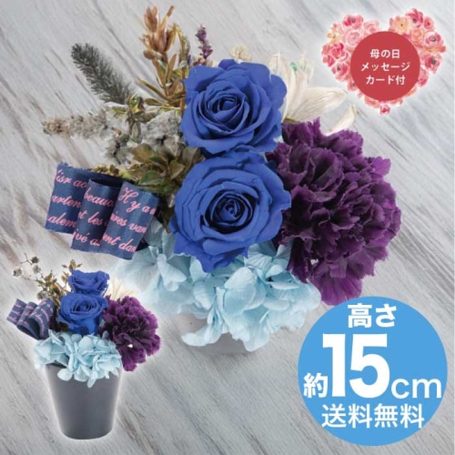 [直送商品]母の日 5/8-10お届け アークフラワースタジオ プリザーブドフラワー フルールスーリル ブルー 【配送指定日不可】 (1851-969)