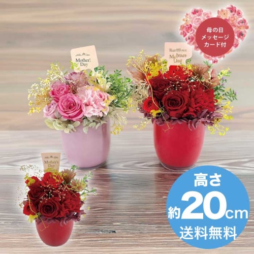 [直送商品]母の日 5/8-10お届け アークフラワースタジオ プリザーブドフラワーフルールソワレ レッド 【配送指定日不可】 (1852-024)