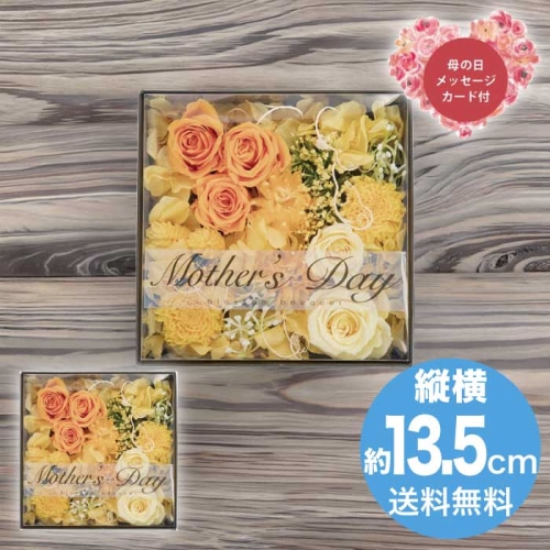 [直送商品]母の日 5/8-10お届け アークフラワースタジオ プリザーブドフラワー フルールアンヴォーグ イエロー 【配送指定日不可】 (1852-074)