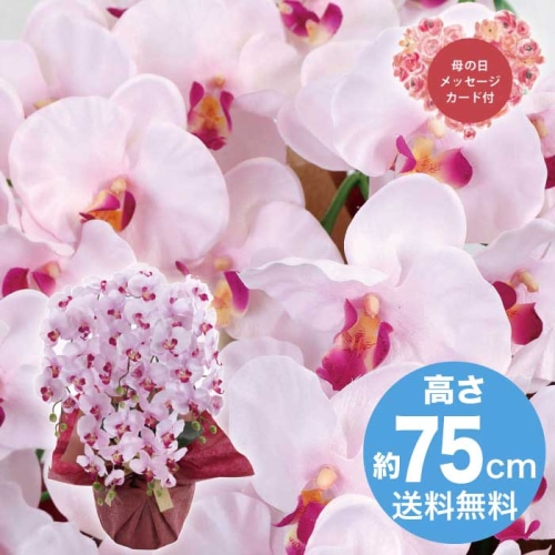 [直送商品]母の日 5/8-10お届け  アーティフィシャルフラワー 5本立ち胡蝶蘭 ラベンダー 【配送指定日不可】 (1852-199)