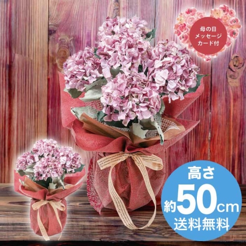 [直送商品]母の日 5/8-10お届け アークフラワースタジオ アーティフィシャルフラワー紫陽花5本立ち パープル 【配送指定日不可】 (1852-240)