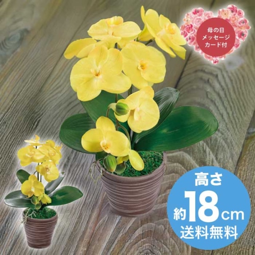 [直送商品]母の日 5/8-10お届け アークフラワースタジオ アーティフィシャルフラワー胡蝶蘭カラーズ イエロー 【配送指定日不可】 (1852-276)