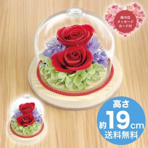 [直送商品]母の日 5/8-10お届け スープ ジュエルガラスドーム レッド 【配送指定日不可】 (1853-595)