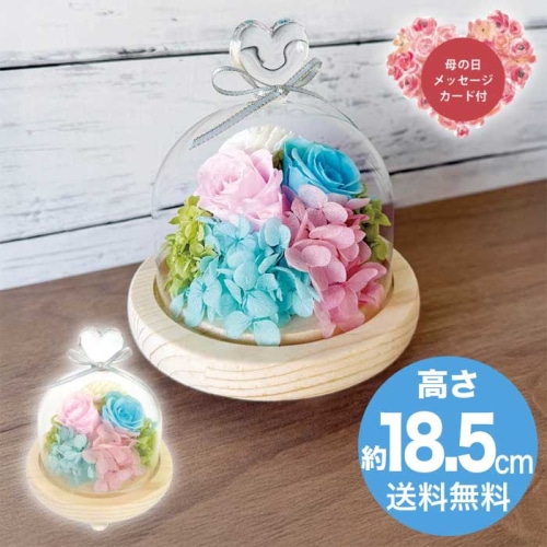 [直送商品]母の日 5/8-10お届け スープ ハートガラスドーム ブルーピンク 【配送指定日不可】 (1853-658)