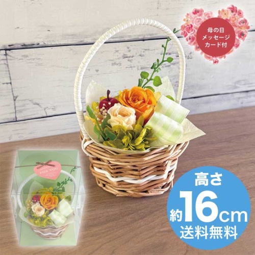 [直送商品]母の日 5/8-10お届け スープ ギフトアレンジメント ジャルダン オレンジ 【配送指定日不可】 (1853-735)