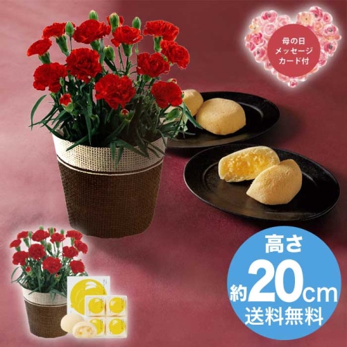 [直送商品]母の日 5/8-10お届け レイール ミニカーネーションレッド4号&月でひろった卵セット 【配送指定日不可】 (1854-016)
