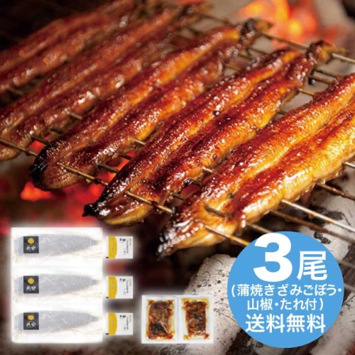 [冷凍][直送10]お中元 鰻楽 九州産うなぎ蒲焼3尾＋蒲焼きざみごぼう入2袋 (1602-025)