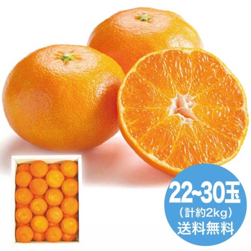 [直送10]お中元  香川県産 小原紅ハウスみかん2kg 【7月中旬以降順次発送】【配送指定日不可】 (1627-065)