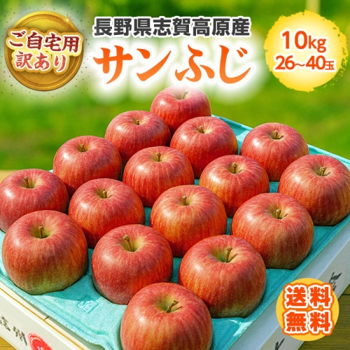 [直送商品]送料無料 長野県志賀高原産 サンふじりんご 自家用 10kg 26～40玉 【配送指定日不可】