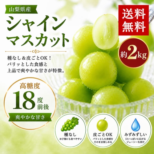[予約直送]山梨県産 シャインマスカット 2房 約2kg 【綿半お中元】【7月後半～8月中旬順次発送】【配送指定日不可】